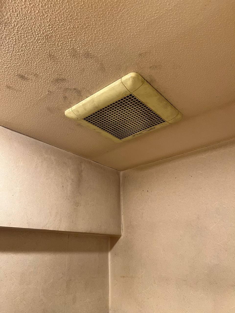 おそうじフレッシュ トイレクリーニングBefore/After