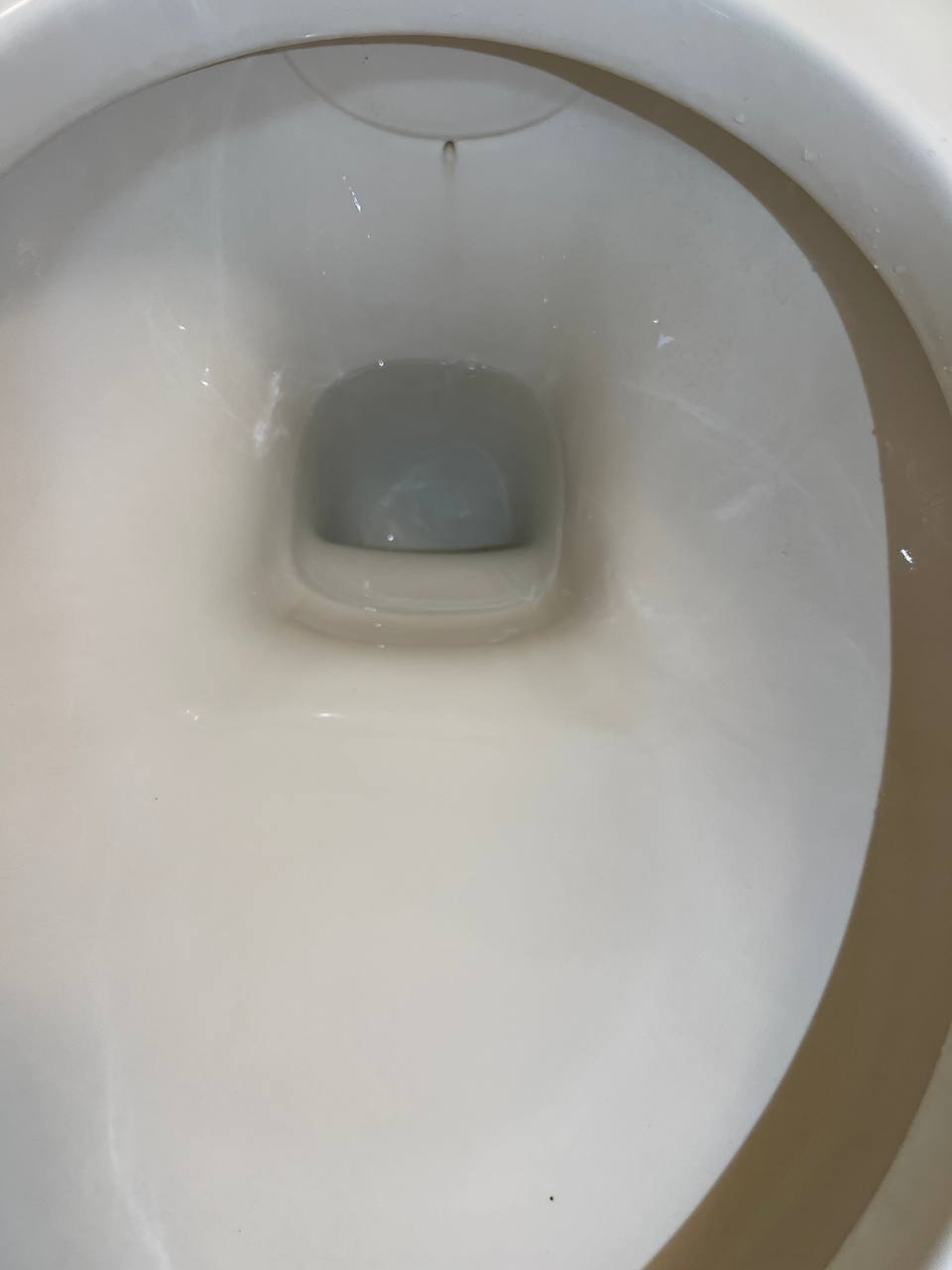 空室クリーニング後のトイレ便器内の仕上がり