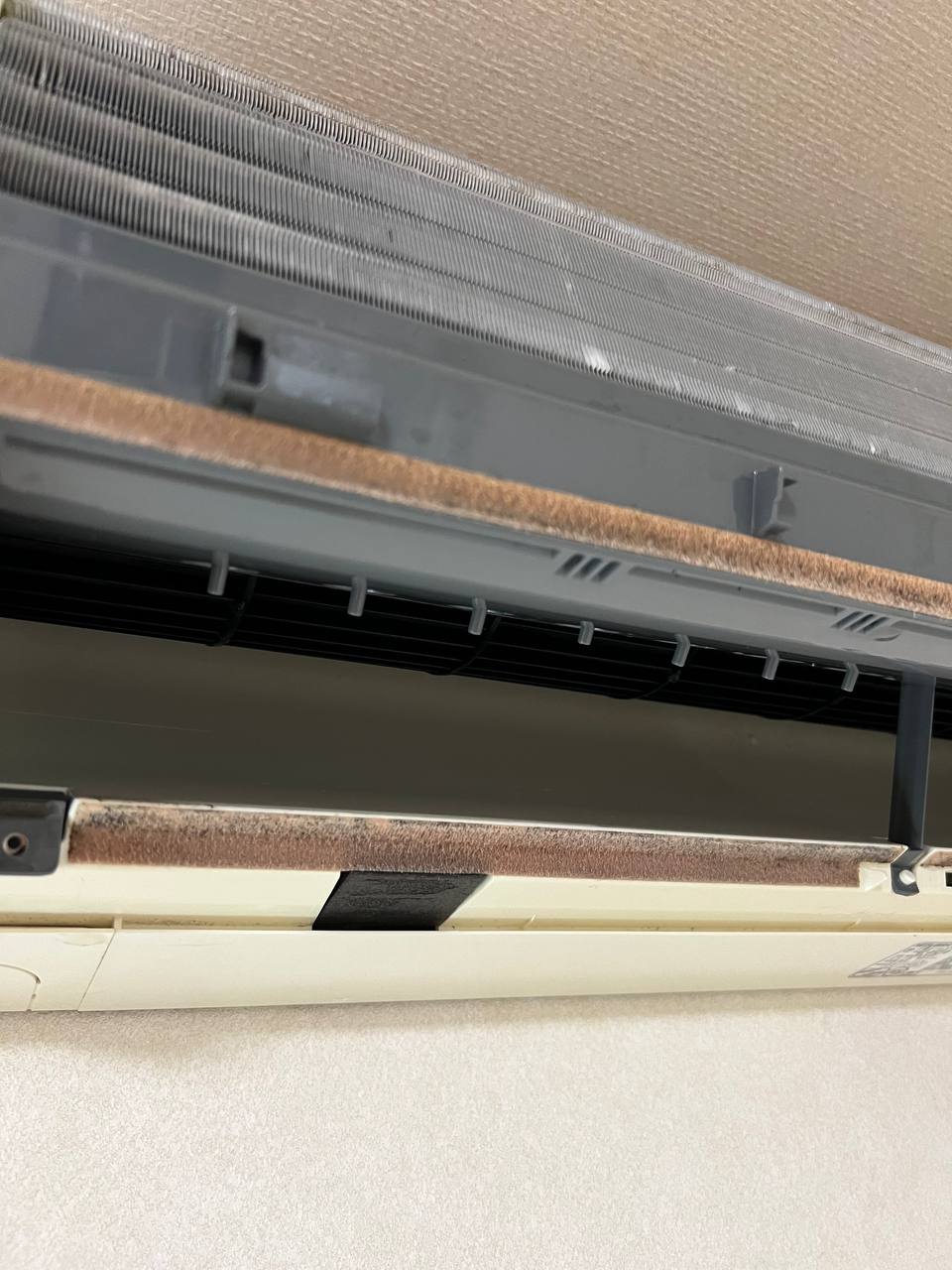 エアコン分解クリーニング後のファン部分