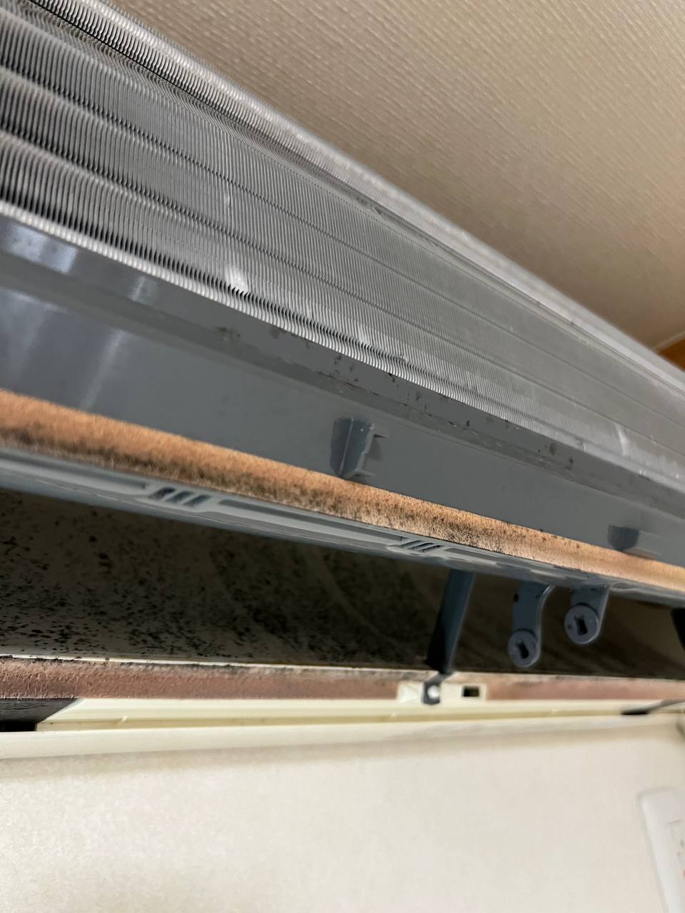 エアコン分解クリーニング前のファン部分