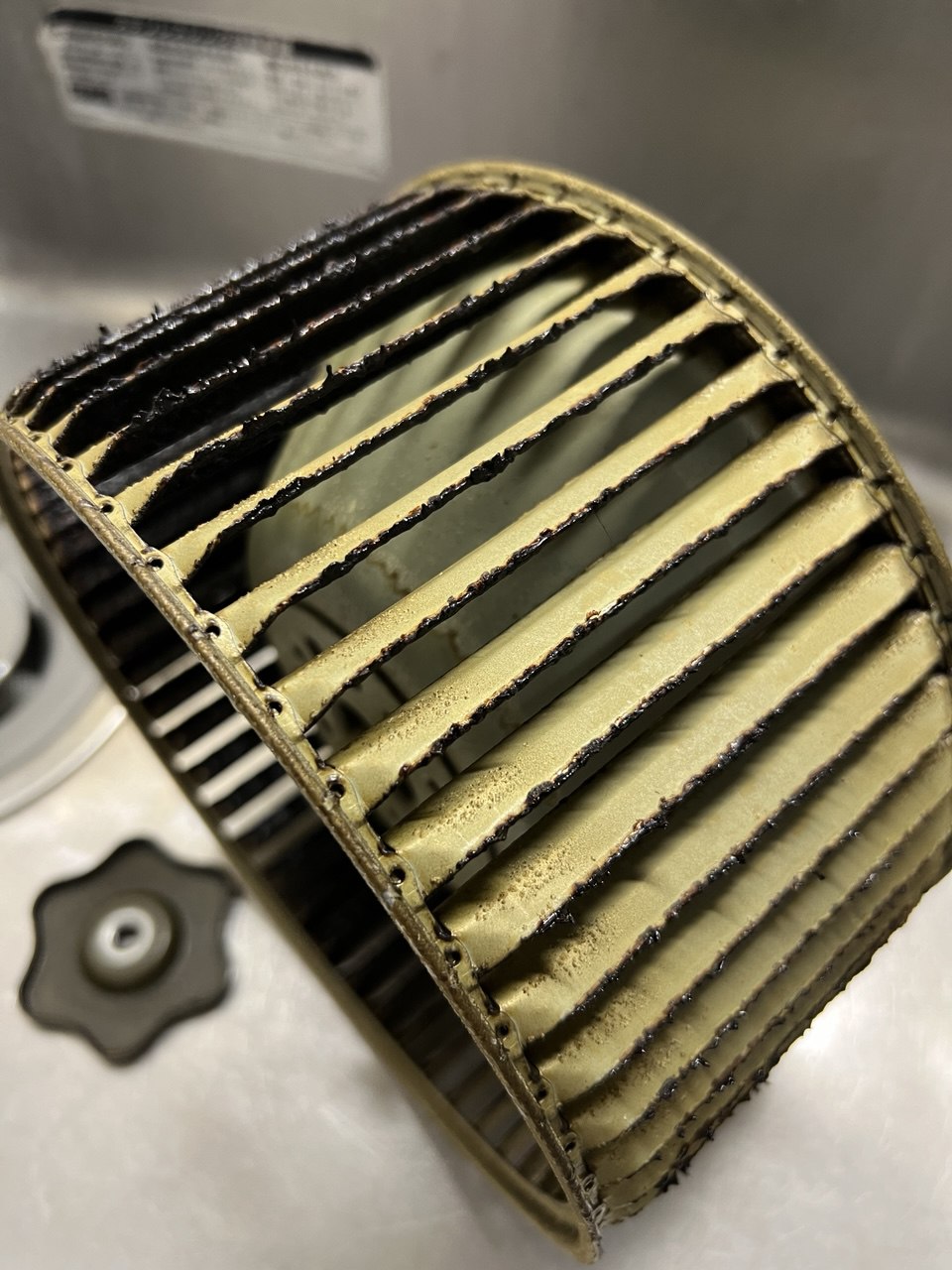 レンジフード分解クリーニング前シロッコファン